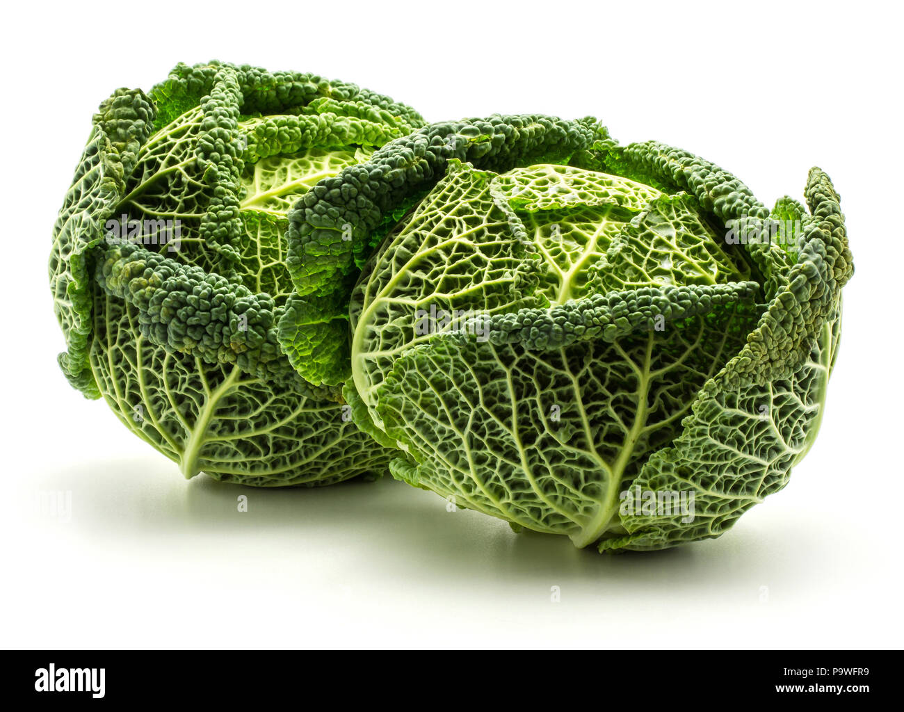 Due savoy cavoli cappucci isolati su sfondo bianco fresco verde capi Foto Stock