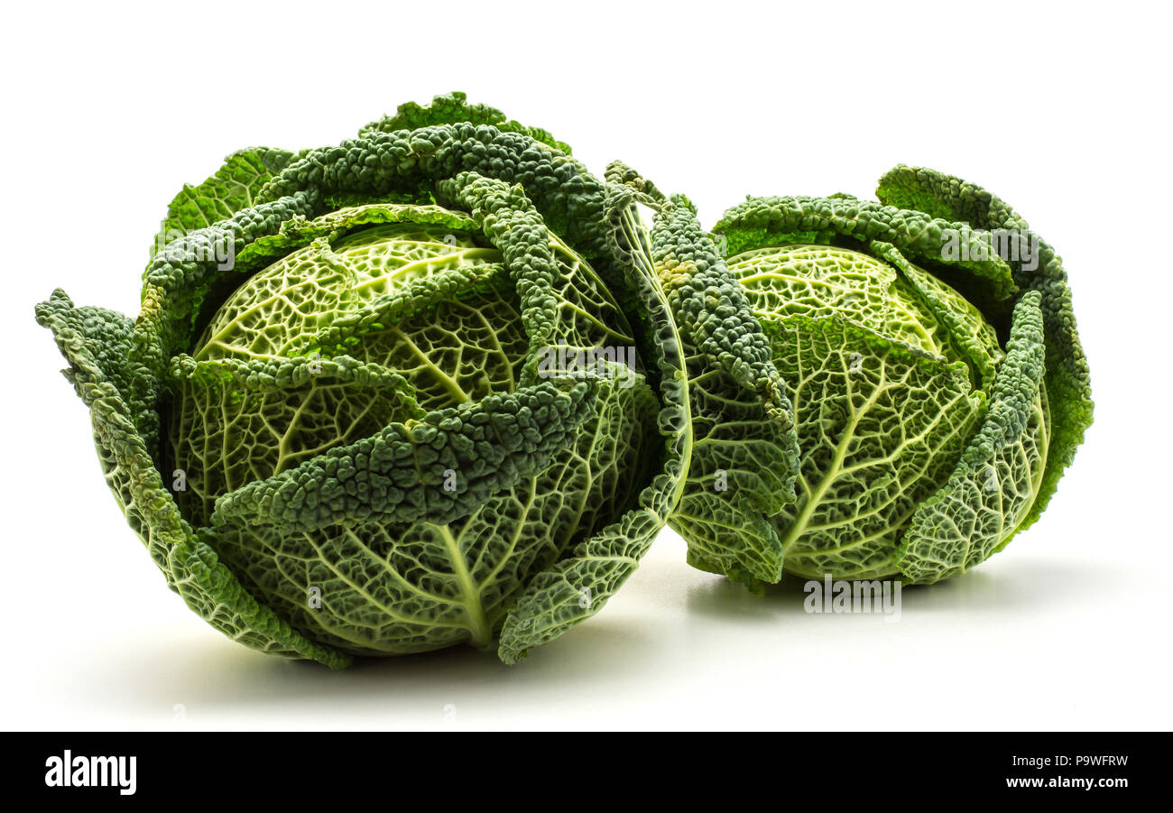 Savoy cavoli freschi due teste verdi isolati su sfondo bianco Foto Stock