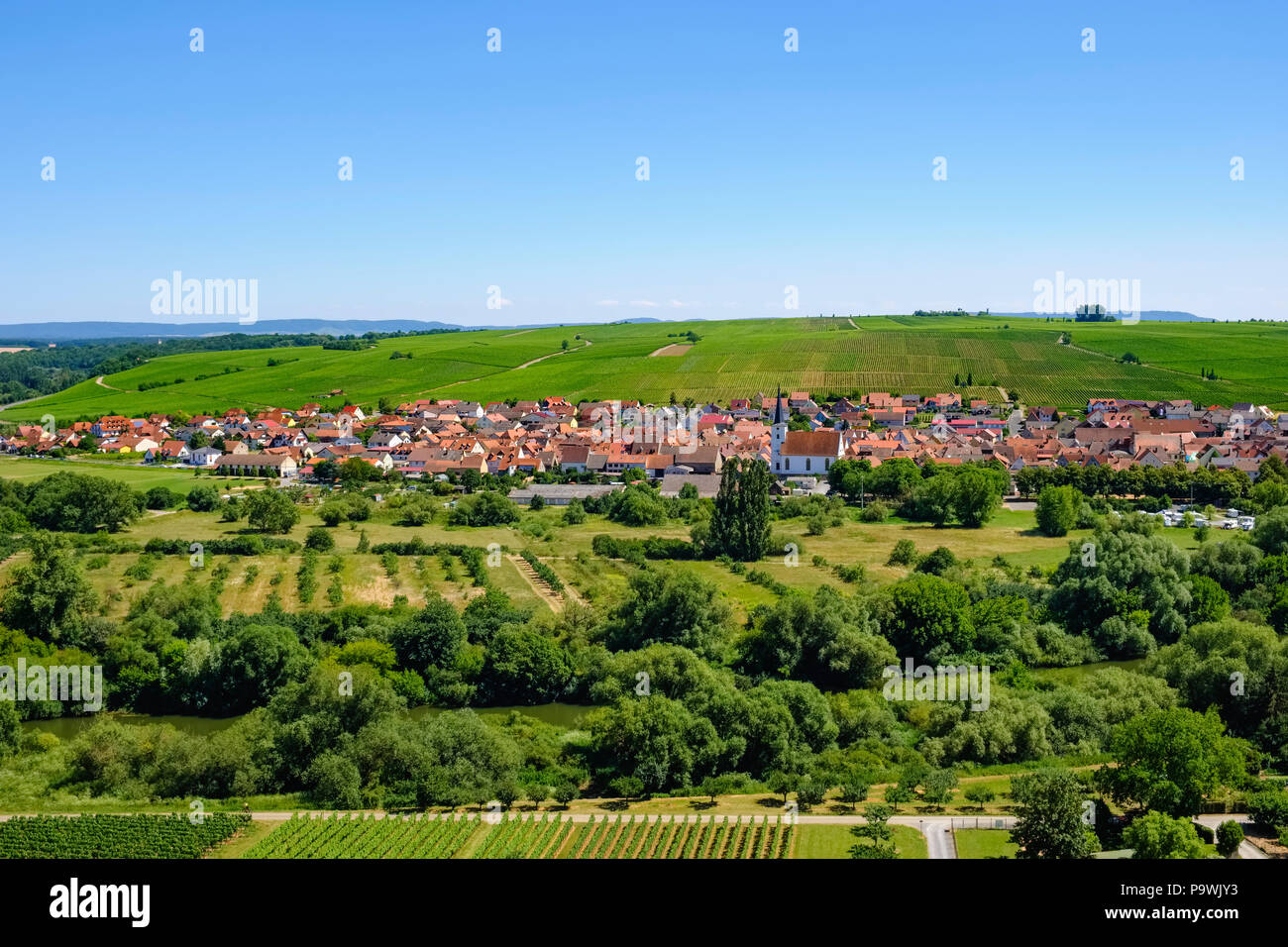 Vista su Nordheim am Main, Mainfranken, bassa Franconia, Franconia, Baviera, Germania Foto Stock
