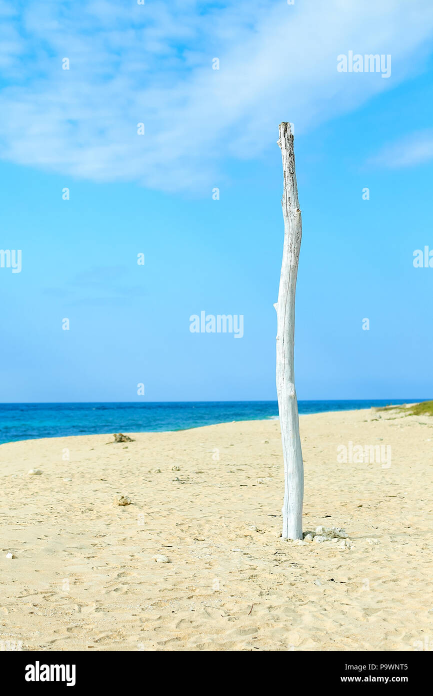 Bella spiaggia blu Foto Stock