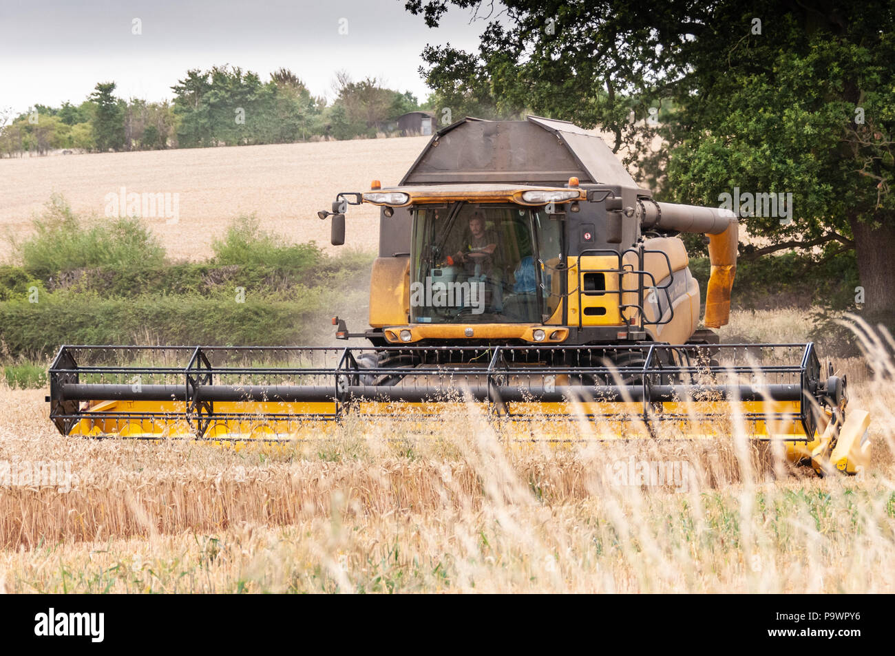 Harvesting Crops, Warwickshire, Inghilterra Foto Stock