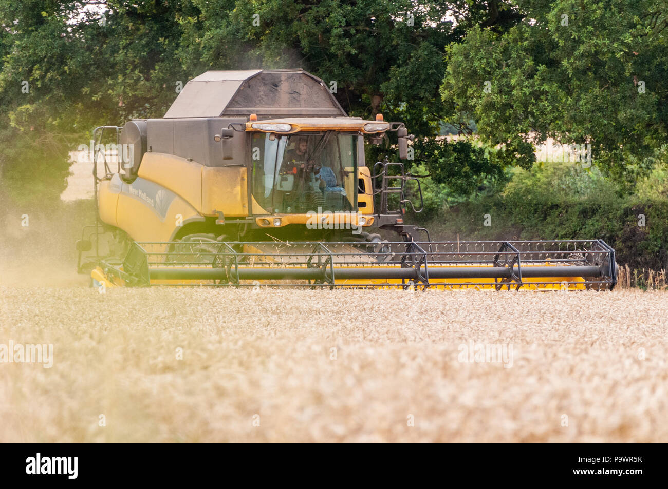 Harvesting Crops, Warwickshire, Inghilterra Foto Stock