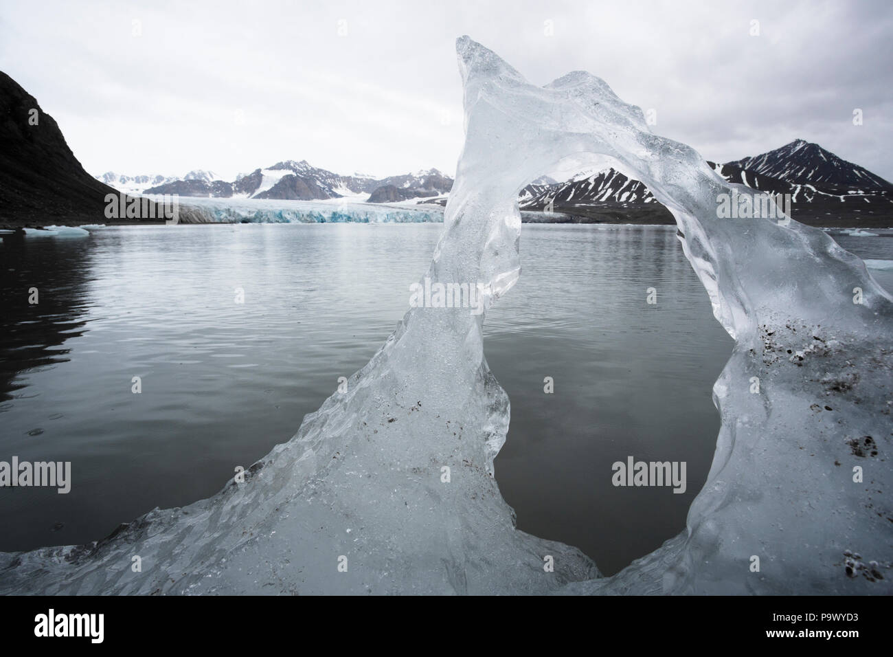 Pezzo di ghiaccio, vicino xiv luglio ghiacciaio, Svalbard Foto Stock