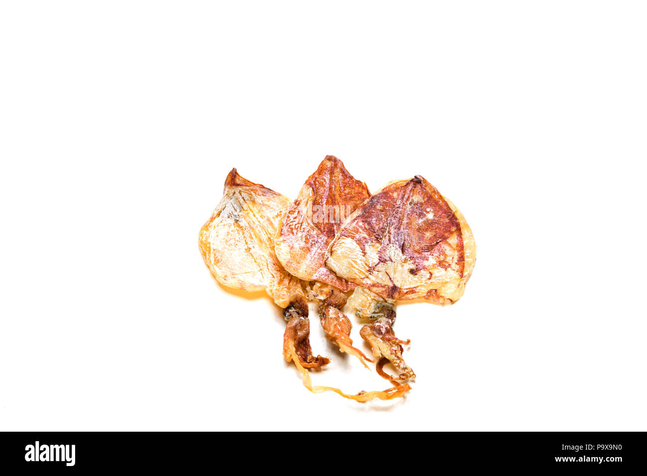 Calamari alla griglia isolata su sfondo bianco. Frutti di mare della Thailandia. Foto Stock