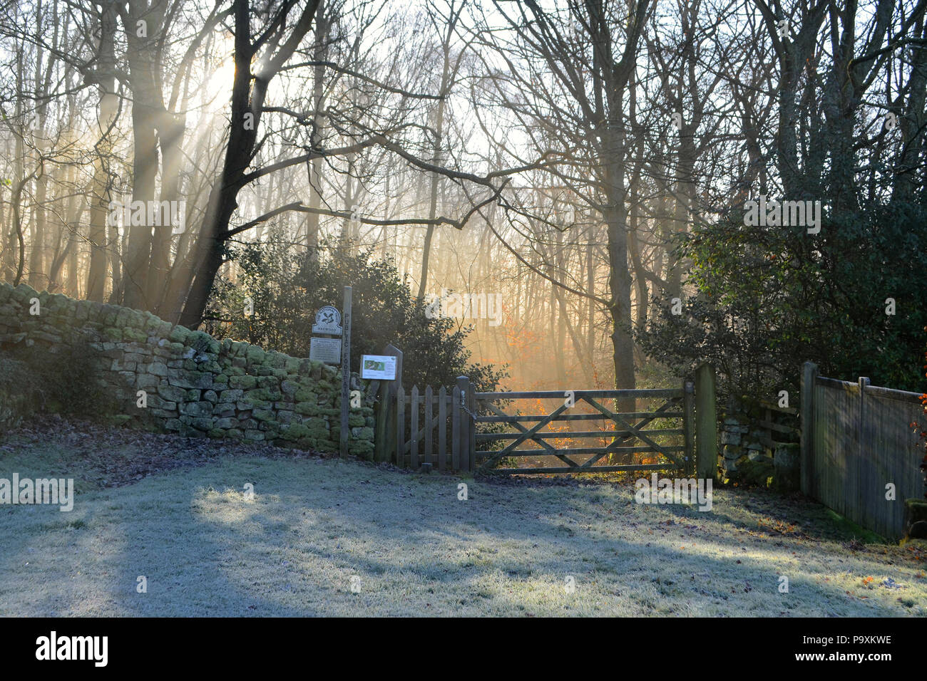 Un portale di ingresso a National Trust boschi gestiti nel Derbyshire Peak District, Inghilterra Foto Stock