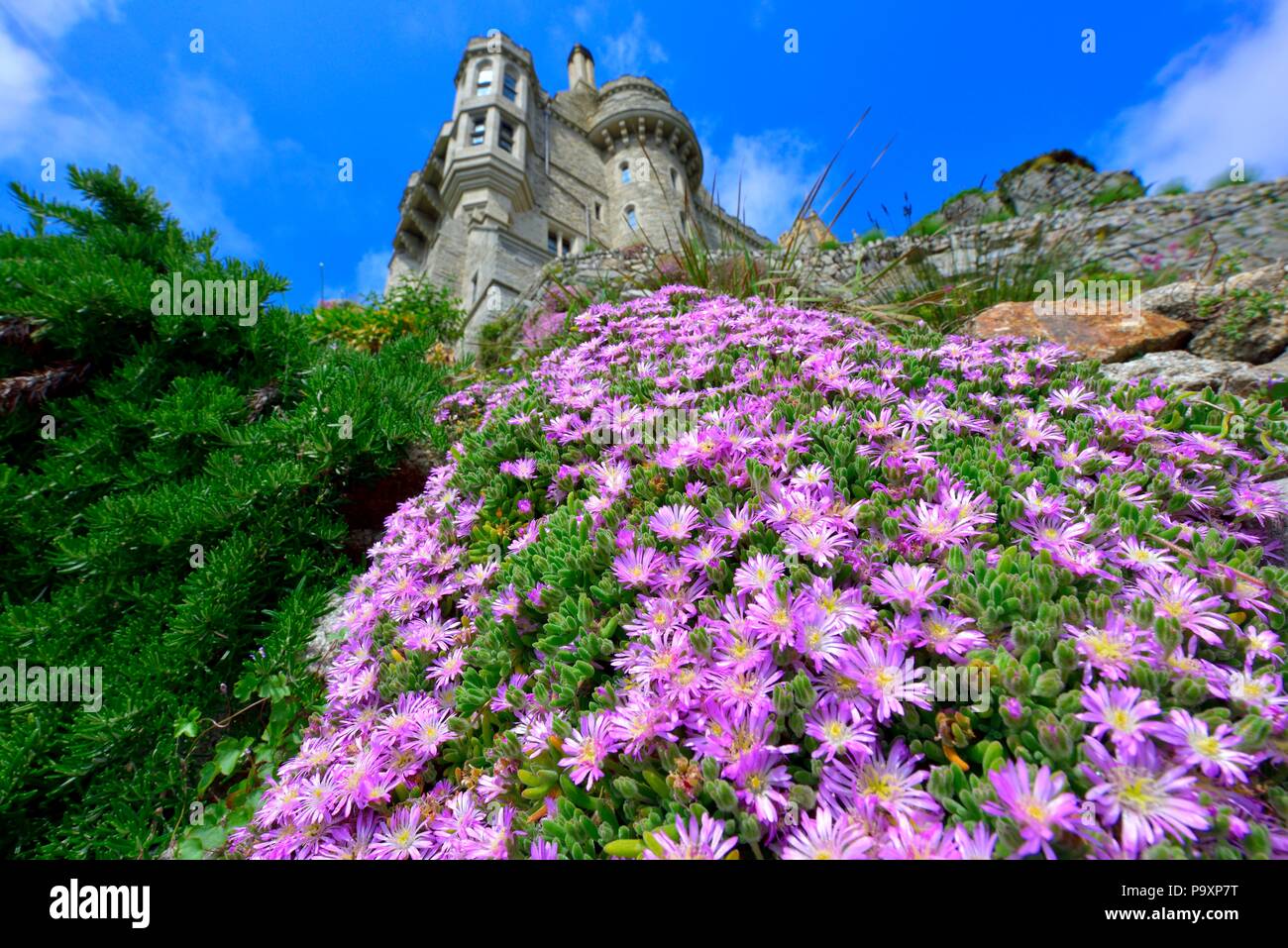 San Michele è il monte Castello e Giardini,Karrek Loos yn Koos,Marazion,Cornwall,l'Inghilterra,uk Foto Stock