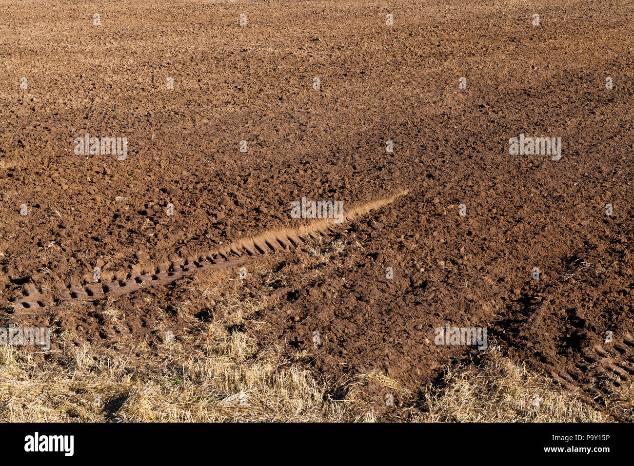 Terriccio bruno sul campo arato, prima di piantare un raccolto nuovo, sul terreno ci sono un paio di tracce delle ruote di trasporto Foto Stock