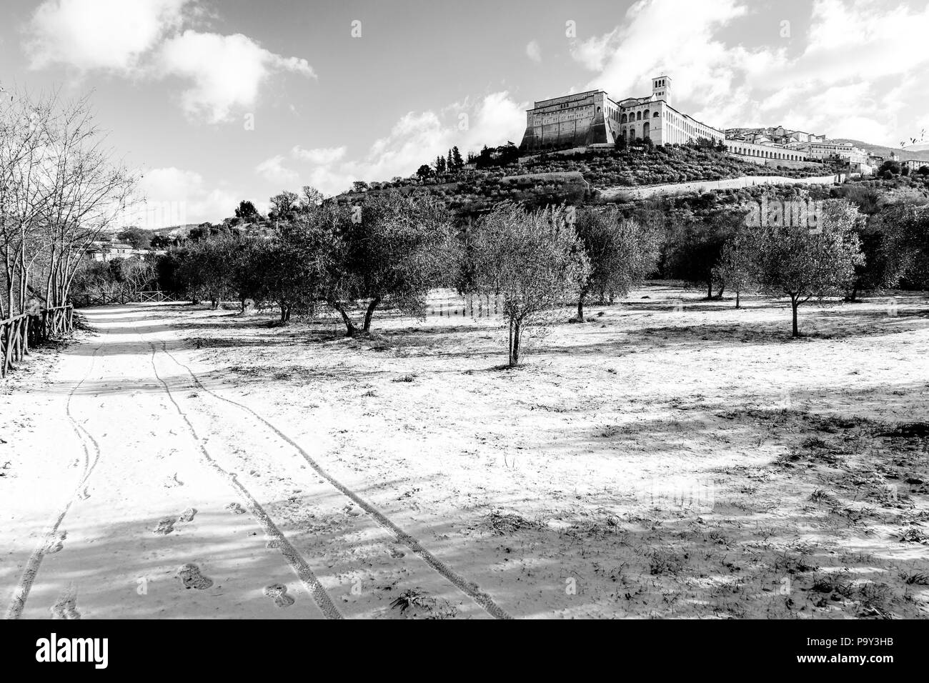 Vista della città di Assisi (Umbria) in inverno, con un campo di olivi coperti dalla neve e dal cielo con nuvole bianche. Foto Stock