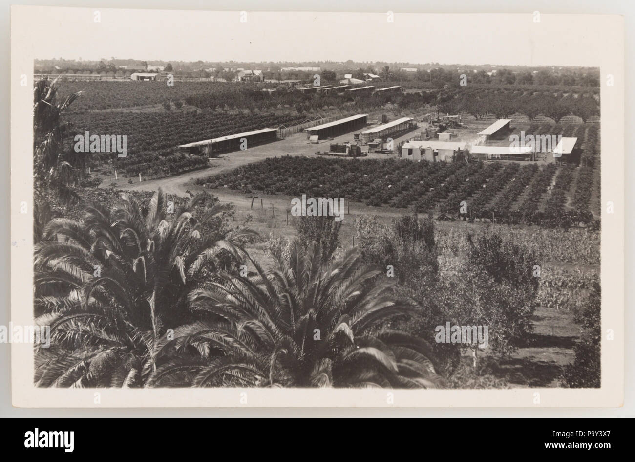 297 SLNSW serie 920644 09 irrigazione 19211924 ca Foto Stock