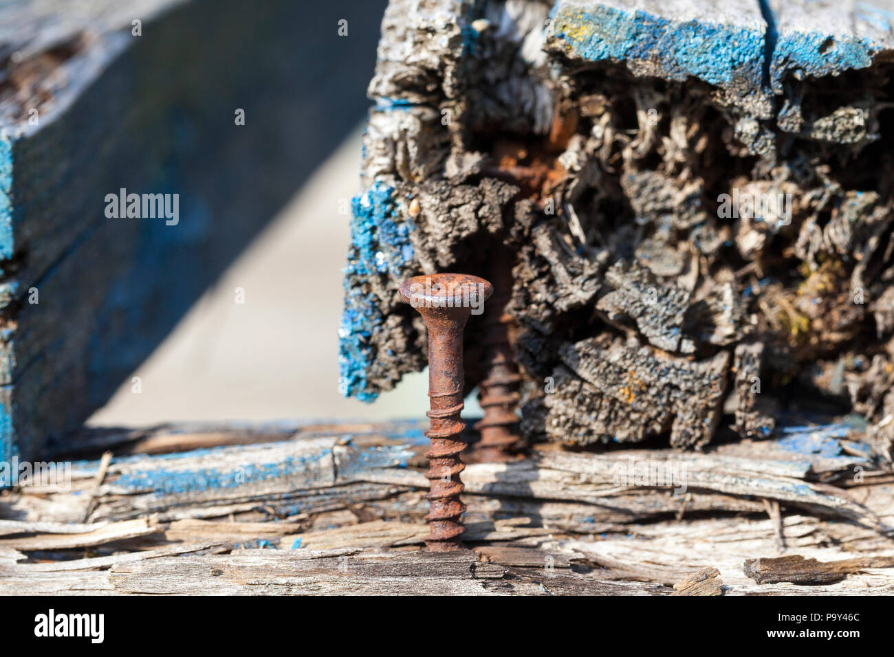 Le assi e i chiodi arrugginiti dal vecchio rotto fino a panca in legno posto nel parco. Nel bosco vi sono tracce di vernice blu. Fotografia di close-up, piccola profondità Foto Stock