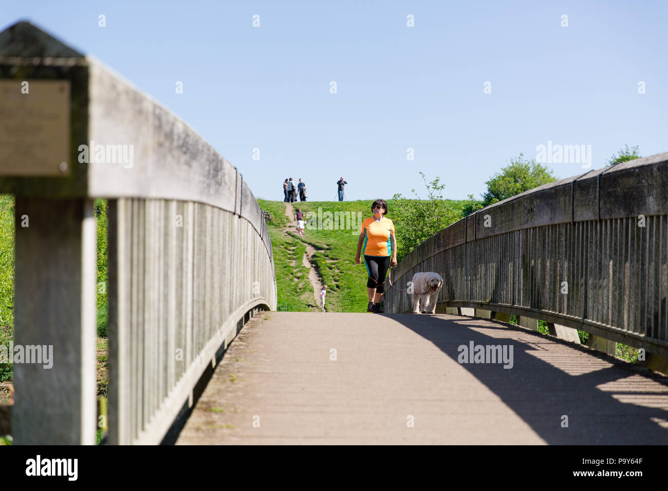 Trim, Irlanda. Donna cammina il cane attraverso il ponte sopra il fiume Boyne nei pressi del centro storico di anglo normanna il Castello di Trim. Foto Stock