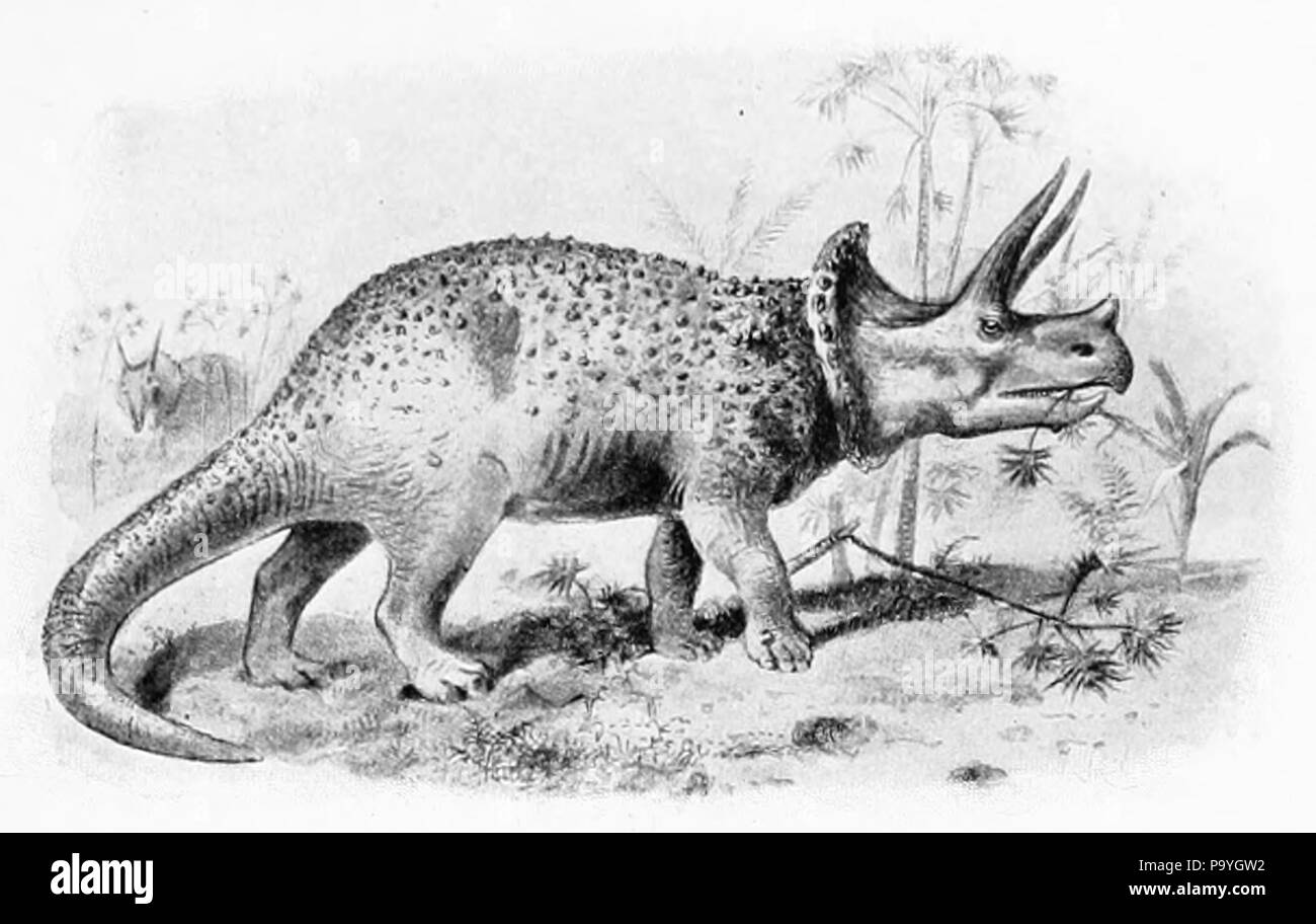 579 dinosauro lizard 30 piedi di lunghezza Foto Stock