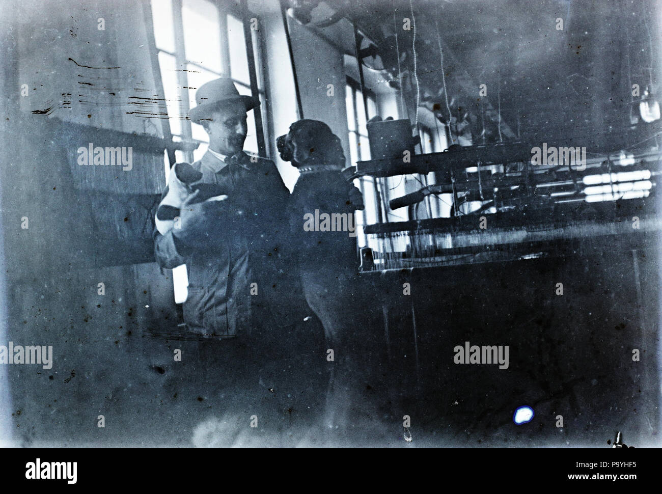 582 cane, telaio, cucciolo Fortepan 95203 Foto Stock