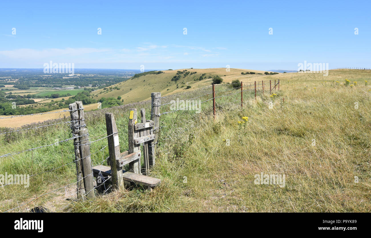 Paesaggio di South Downs Way, lunga distanza sentiero in East Sussex, Regno Unito vicino a Ditchling Beacon che mostra stile e porta il cane in un recinto Foto Stock