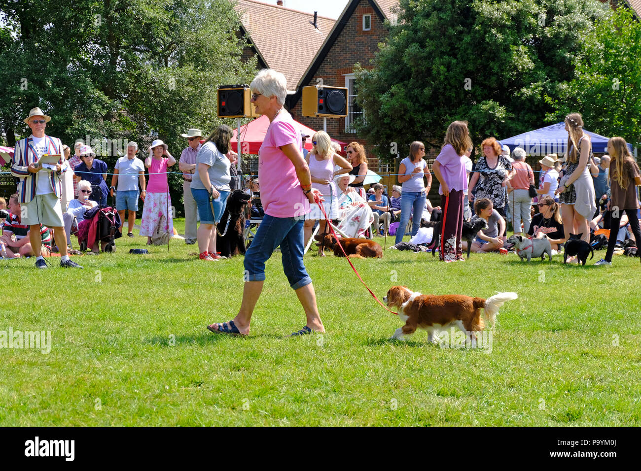 East Preston, West Sussex, Regno Unito. Fun dog show tenutosi il villaggio verde - mature lady mostrando il suo tan e bianco Spaniel Foto Stock