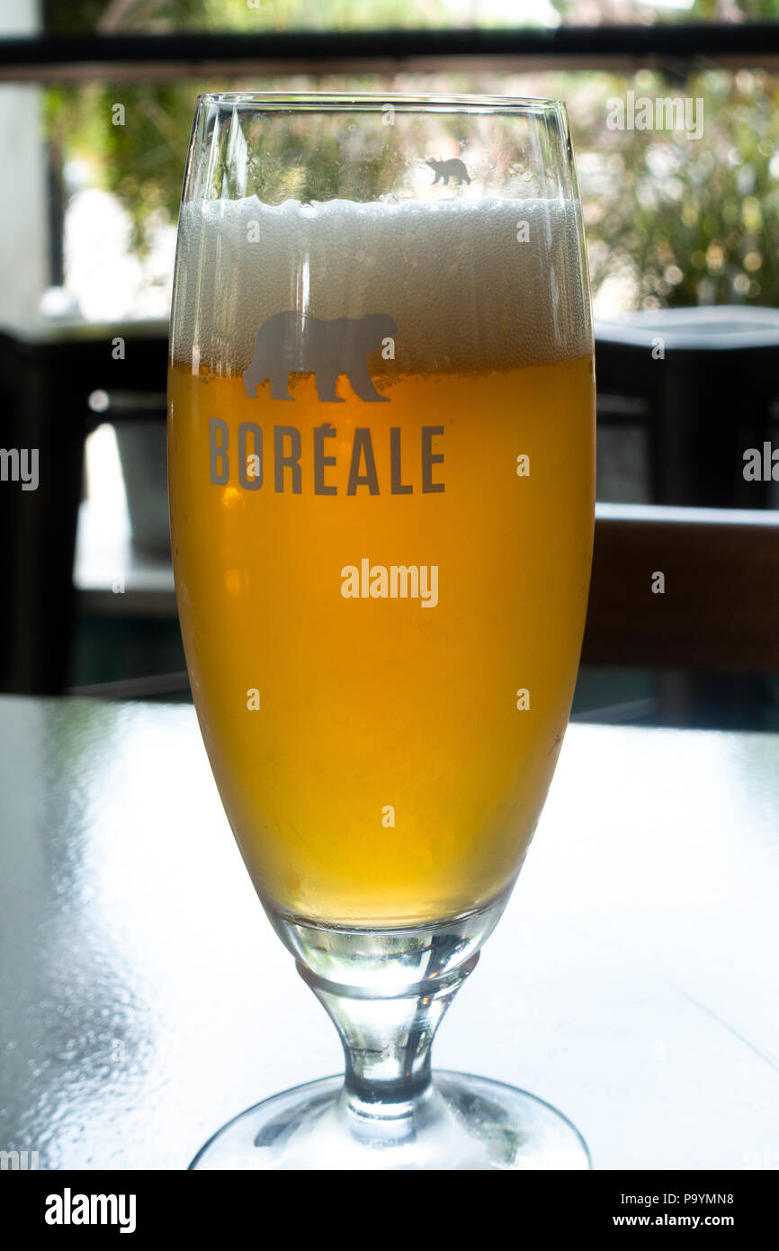 Boreale bionda, una lager canadesi di birra in un alto orso polare in vetro Foto Stock