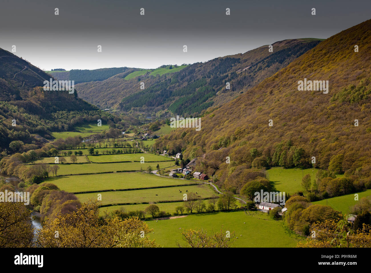 Rheidol Valley, Ceredigion, Wales, Regno Unito Foto Stock