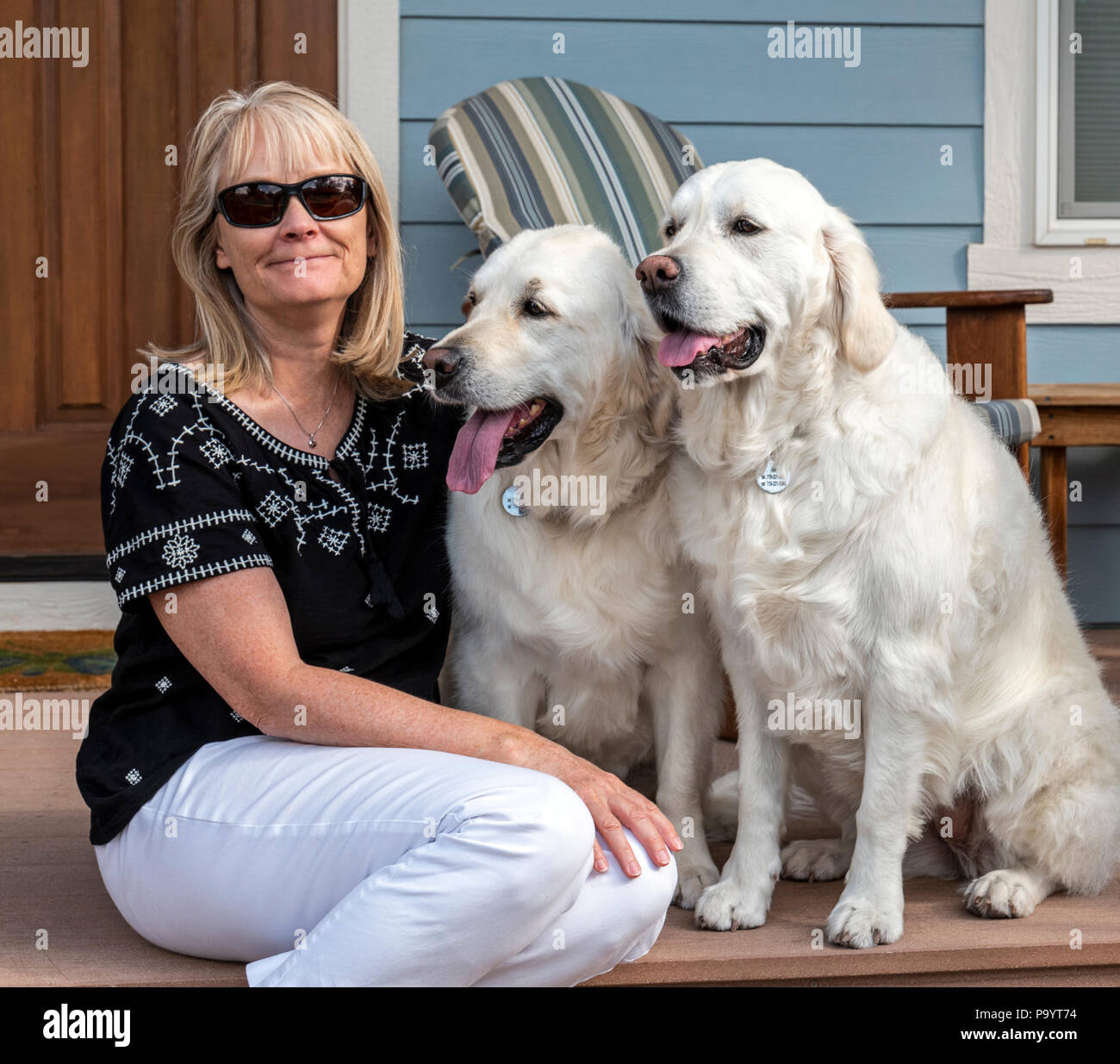 Outdoor ritratto di donna con le sue due belle color platino Golden Retriever cani; Salida; Colorado; USA Foto Stock