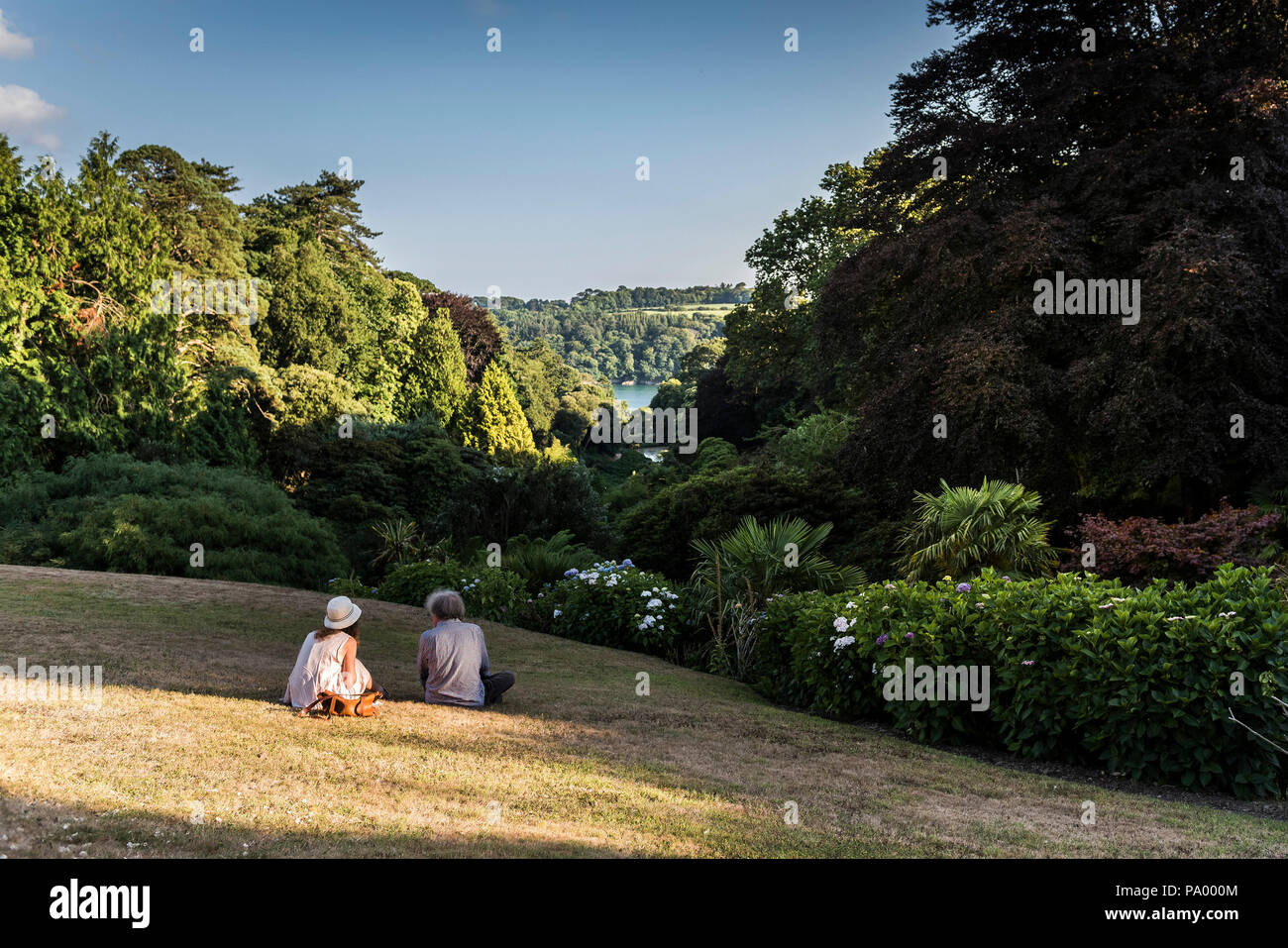 La Gente seduta sul prato e godersi la vista su una serata estiva in giardino Trebah in Cornovaglia. Foto Stock