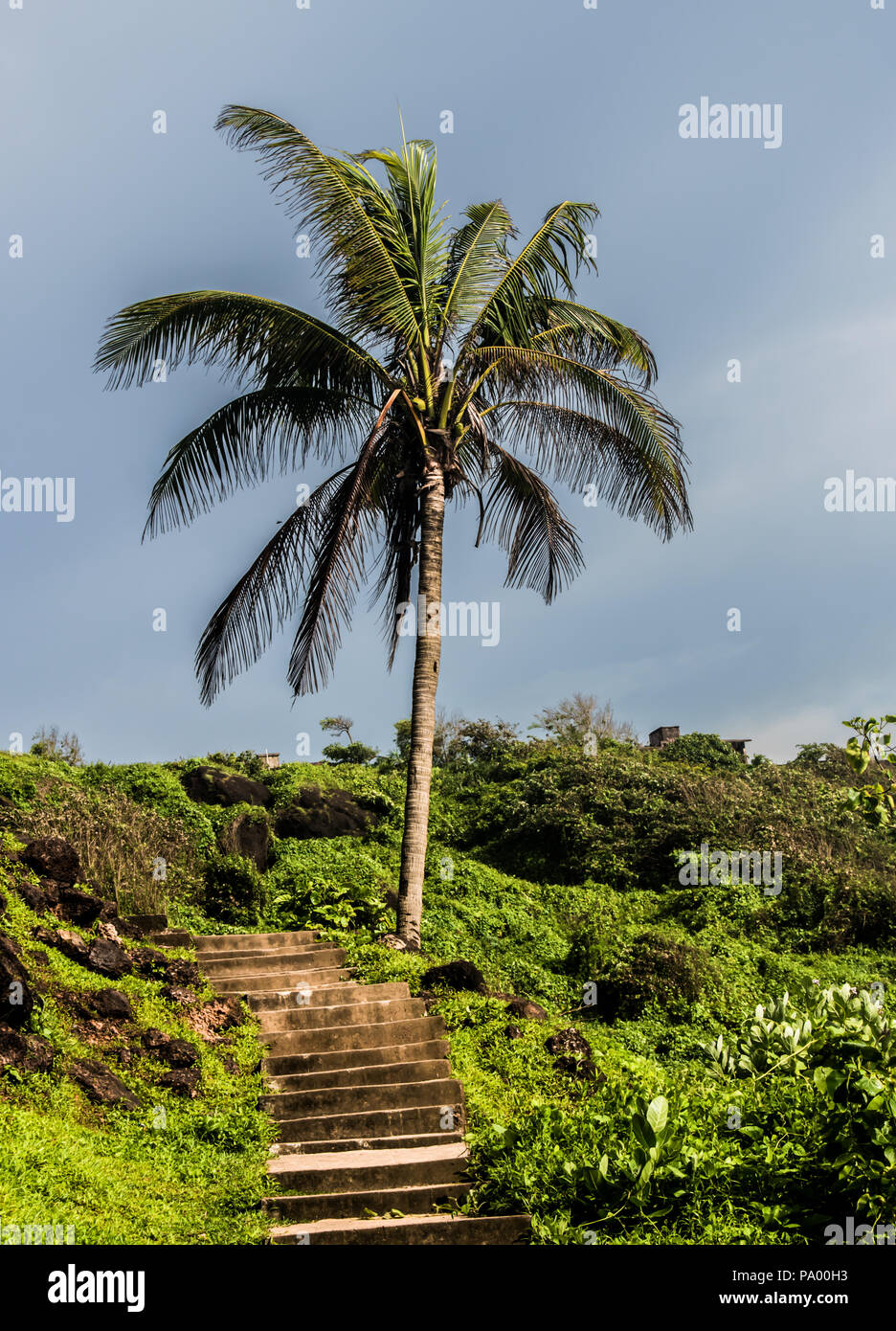 Sfondi per cellulari estivi immagini e fotografie stock ad alta risoluzione  - Alamy