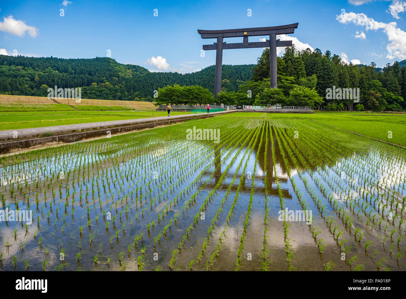 Kumano Kodo percorso del pellegrinaggio. Otorii. Tori Sacrario cancello che segna l'entrata al Oyunohara. Nakahechi. Wakayama .dell'UNESCO. Giappone Foto Stock