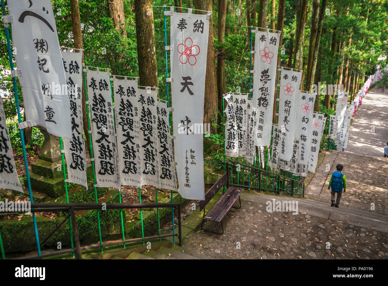 Kumano Hongu Taisha. Sacrario scintoista. Tanabe città. Wakayama Prefettura. Kii Peninsula. La regione di Kansai. Kumano Kodo percorso del pellegrinaggio. UNESCO. Giappone Foto Stock