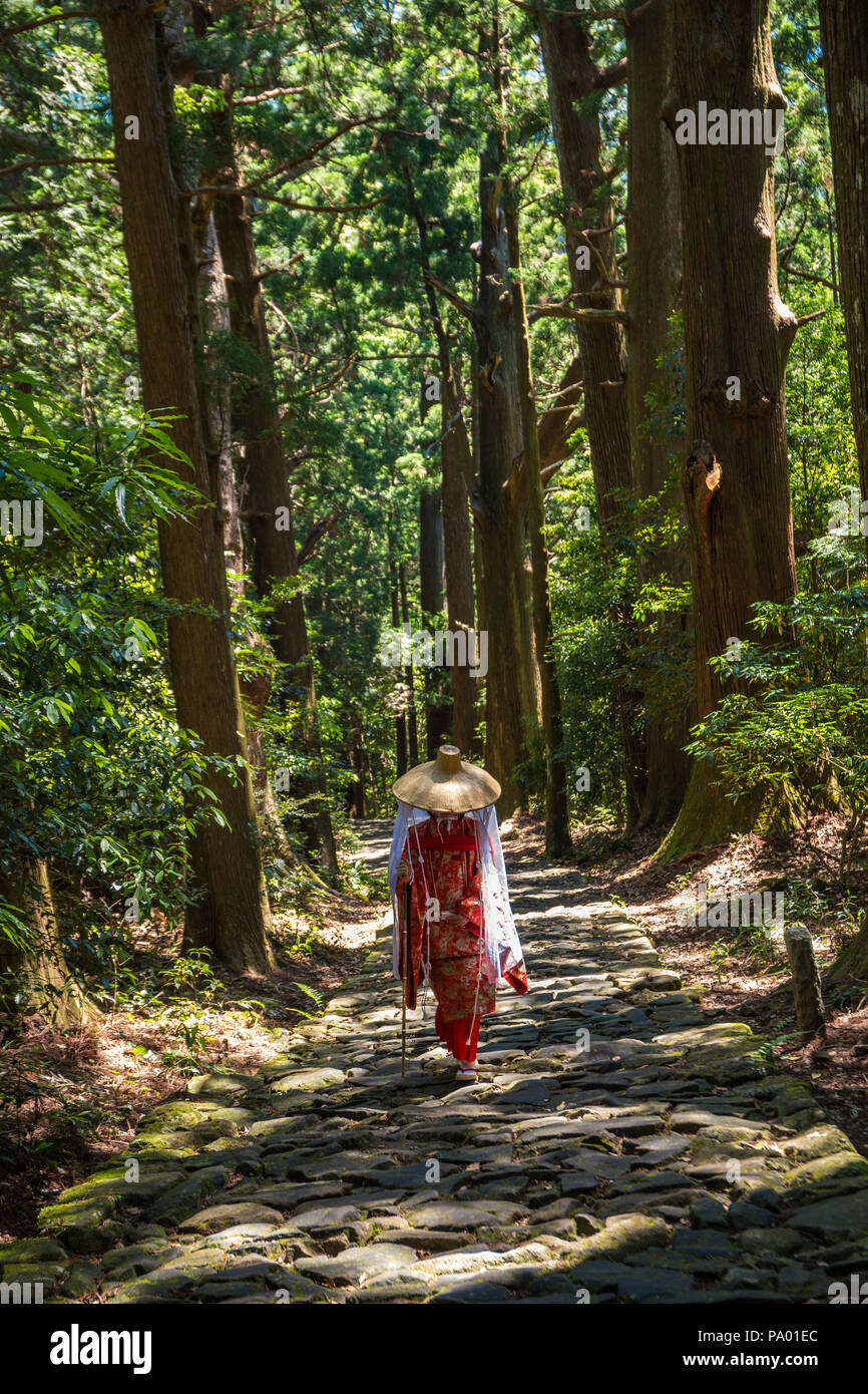 Kumano Kodo percorso del pellegrinaggio. Daimon-zaka slope. Centenario cedro giapponese. Wakayama Prefettura. La regione di Kansai. UNESCO. Giappone Foto Stock