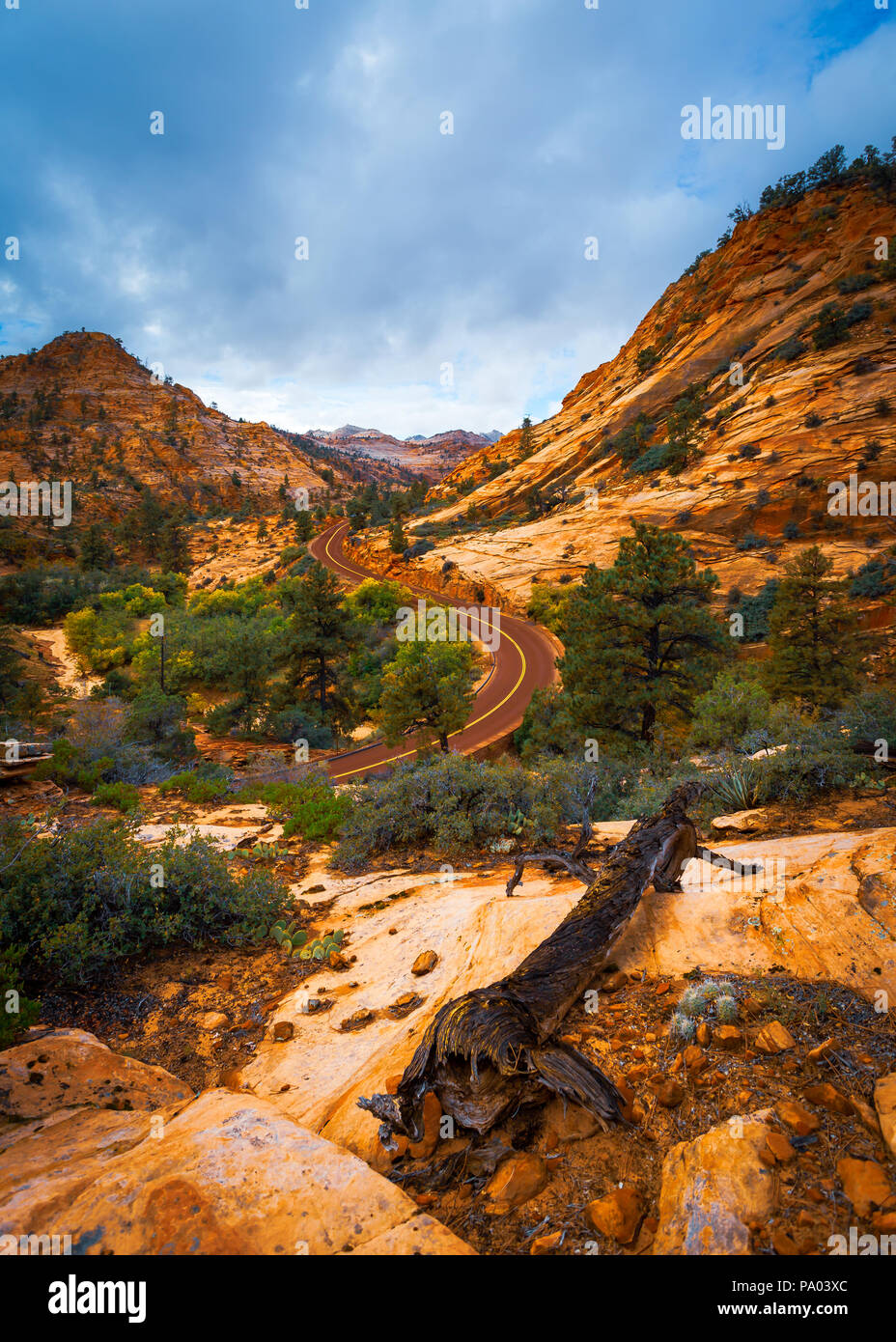 Estate a Zion National Park nello Utah Foto Stock