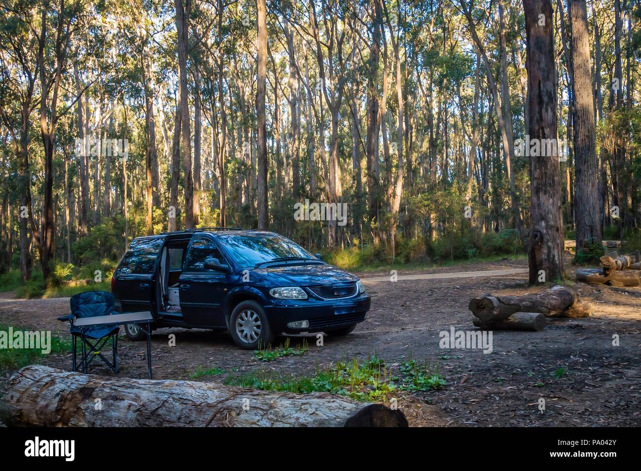 Campeggio nella foresta in Australia nel Bunyip state park Foto Stock