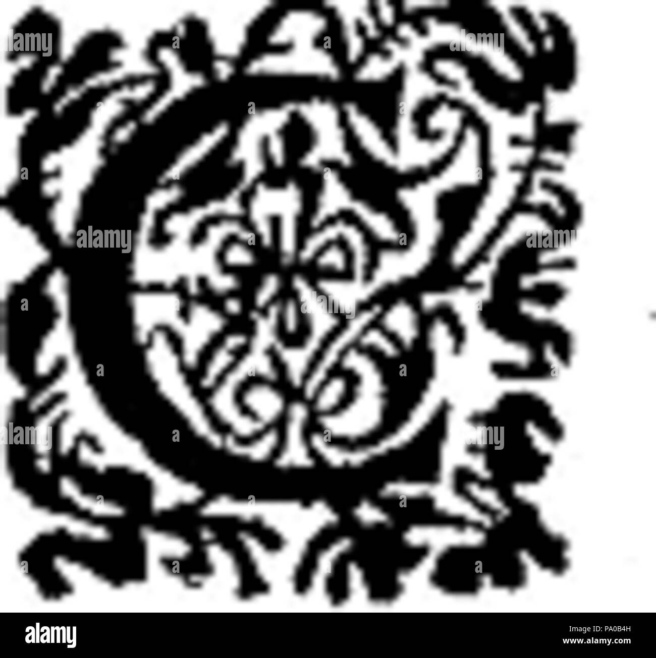 639 Fancy Lettera C Foto Stock