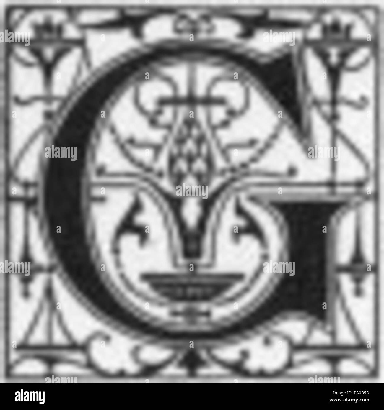 639 Fancy lettera G Foto Stock