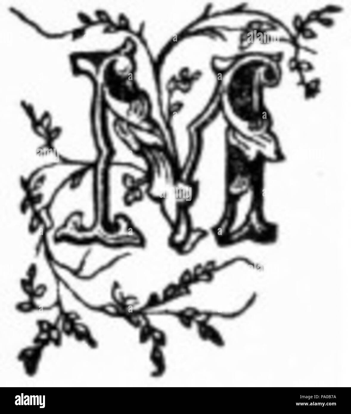 639 Fancy Lettera M Foto Stock