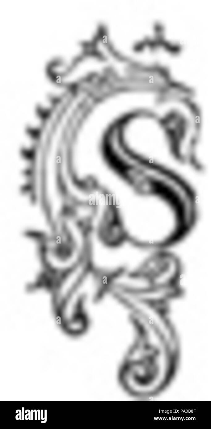 639 Fancy lettera S (2) Foto Stock