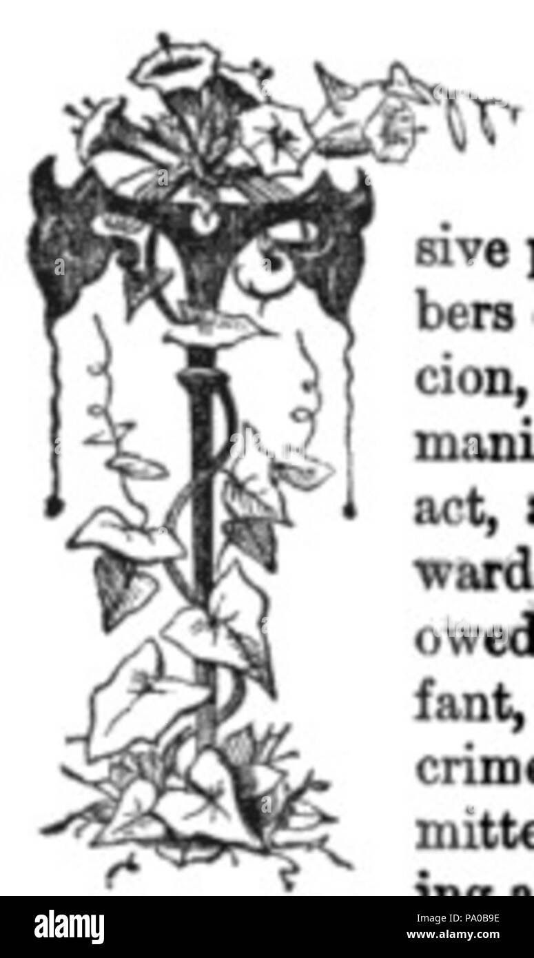 639 Fancy Lettera T immagine (3) Foto Stock