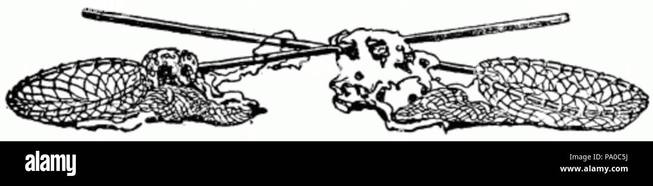 653 Reti da pesca disegno Foto Stock