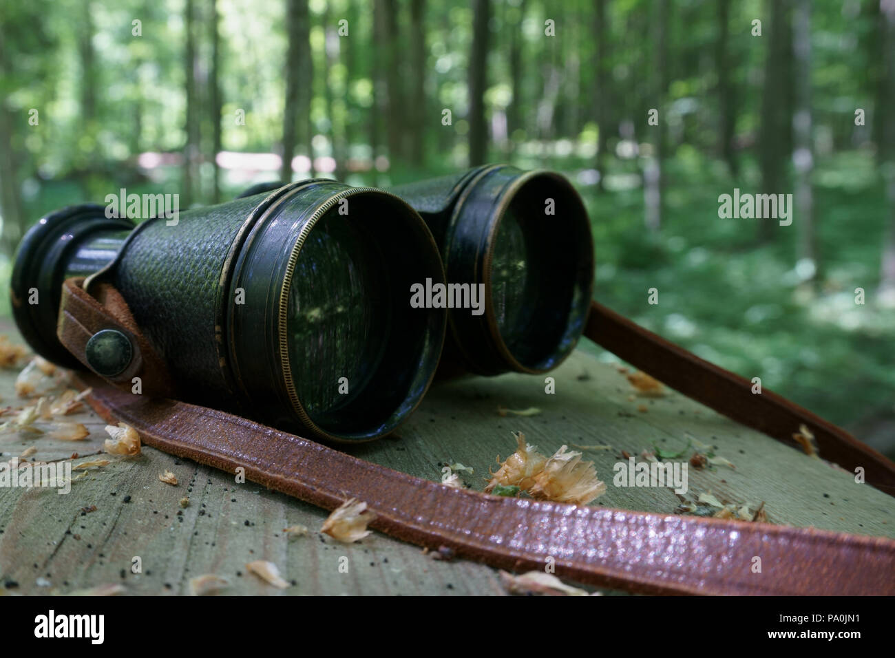 Metallo Vintage binocolo con un cinturino in pelle sul tavolo di legno in natura Foto Stock