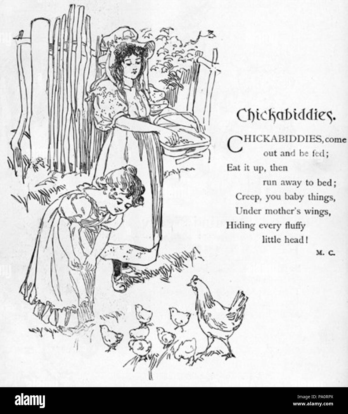 642 alimentazione dei polli (2) Foto Stock