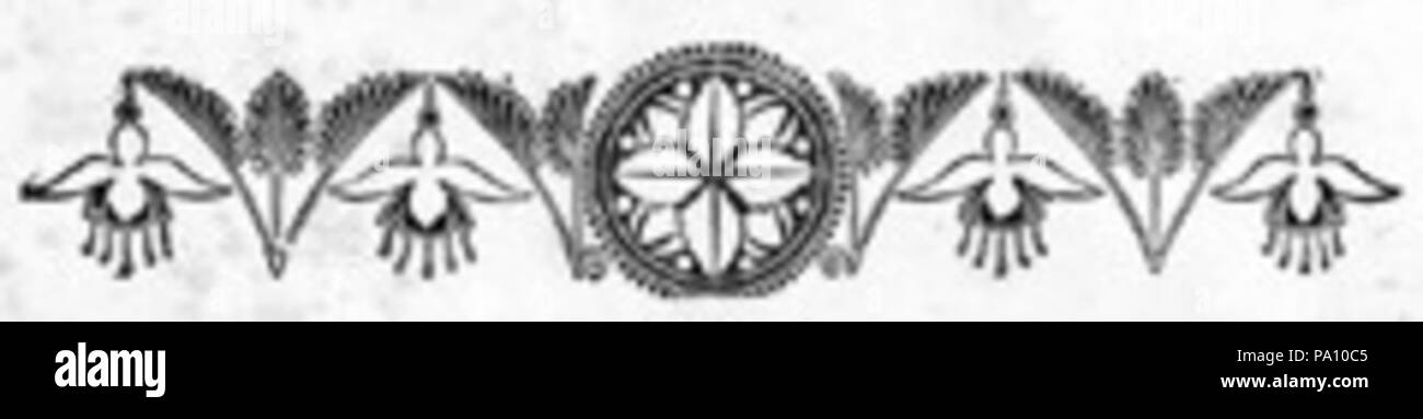 682 Confine Fuchsias Foto Stock