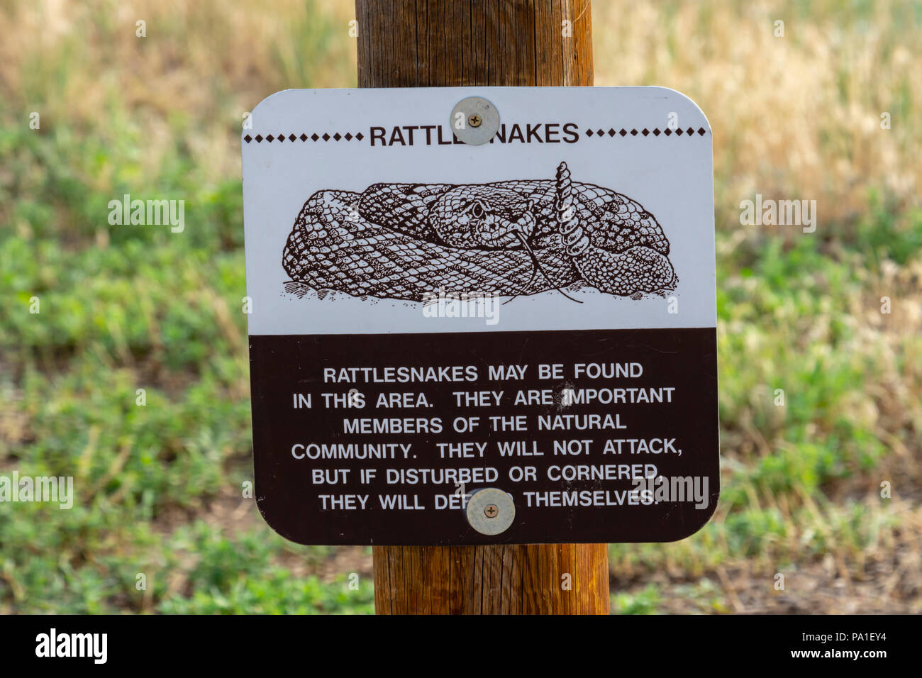 Rattlesnake segno di allarme in ingresso alla Mesa Gateway Open Space Park, Castle Rock Colorado US. Foto Stock