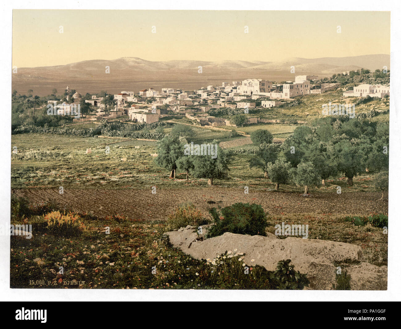 700 Vista generale, Jenin, Terra Santa, (cioè Cisgiordania)-LCCN2002724992 Foto Stock