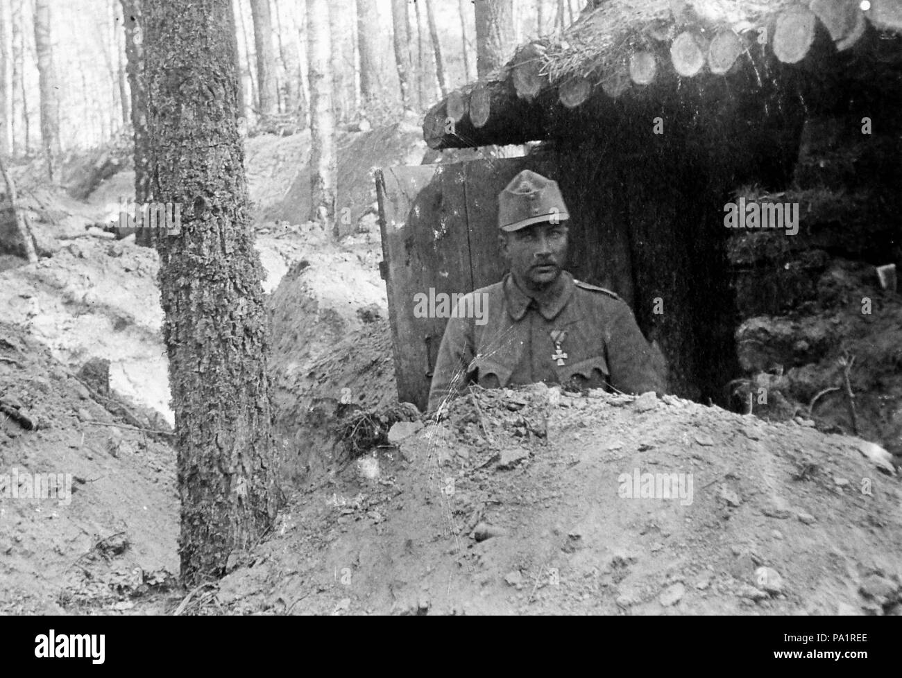 652 Prima Guerra Mondiale, l'uomo, uniforme, boschi, medaglia Fortepan 2818 Foto Stock