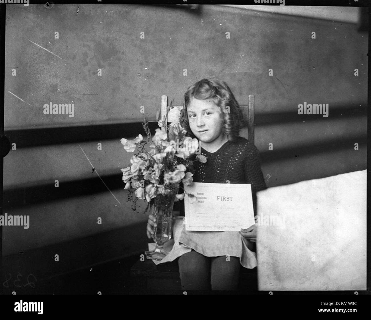 252 27970 SLNSW Ashbury flower show Foto Stock