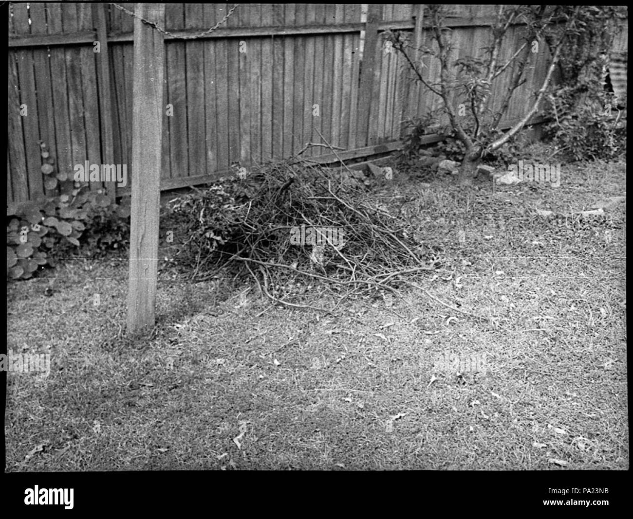 251 27681 SLNSW House il sig. Parsons 24 Nundah Street Lane Cove Foto Stock