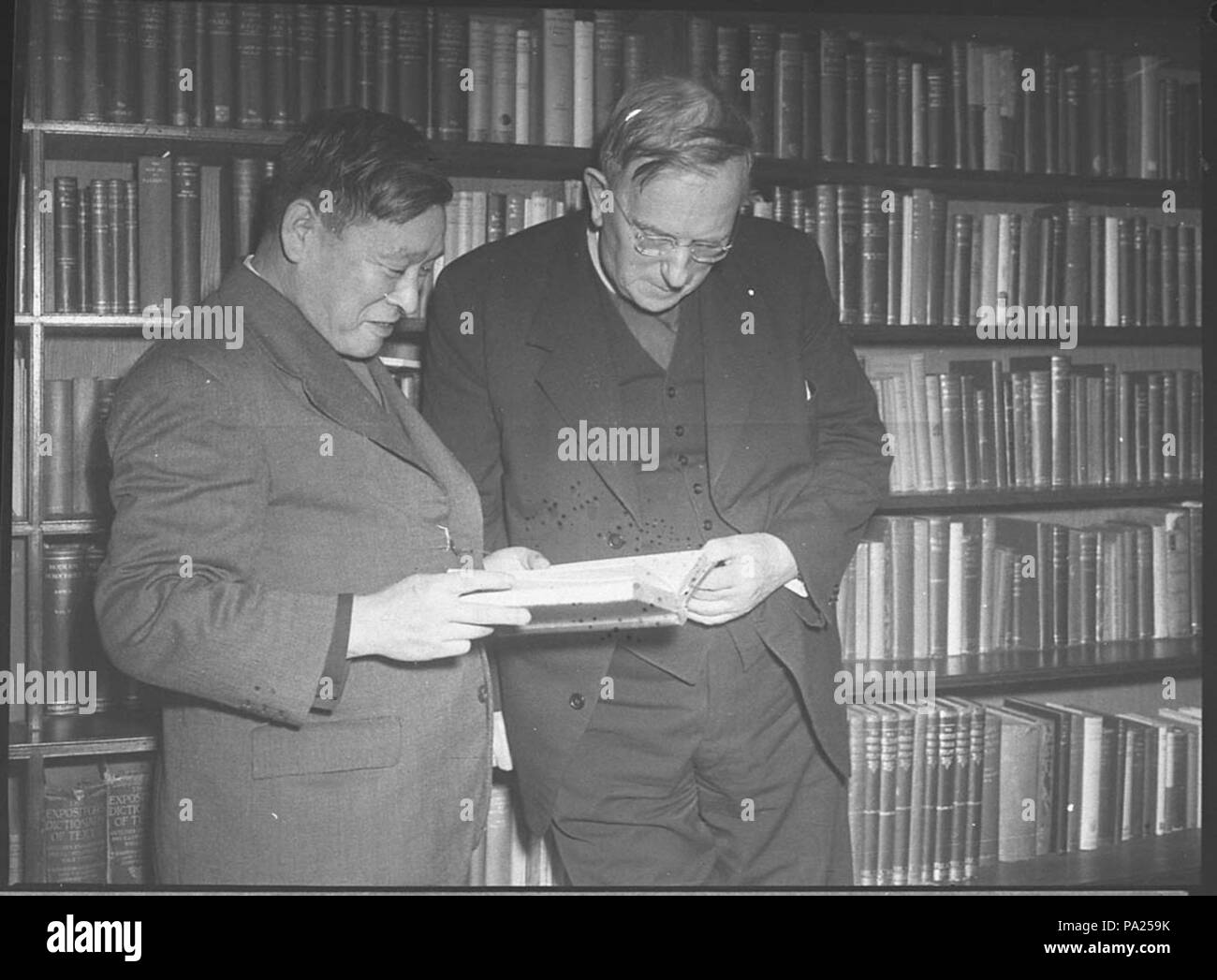 255 31137 SLNSW Vescovo Batty al Yoshira Foto Stock