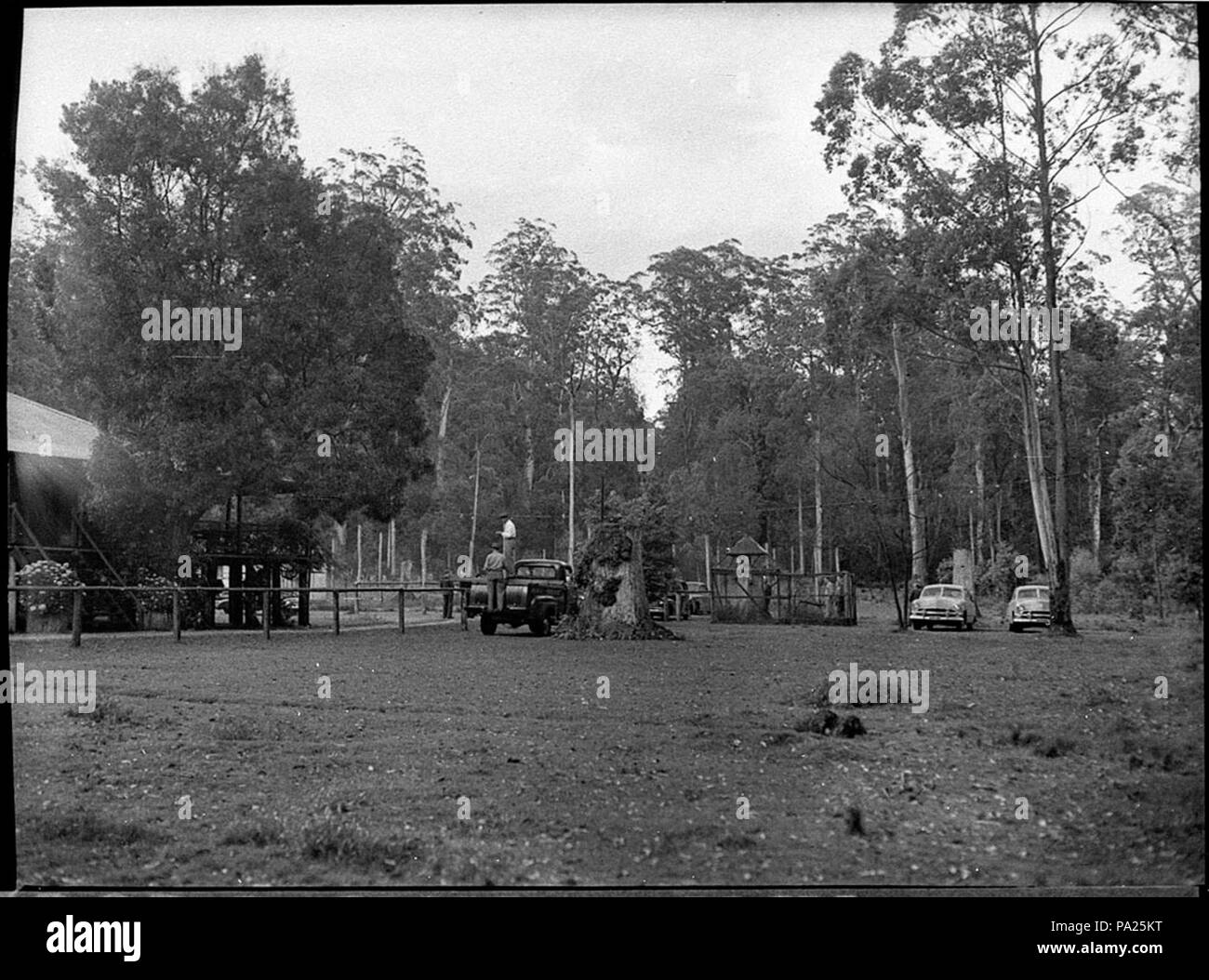 256 31245 SLNSW Barrington luci altezze ie Foto Stock