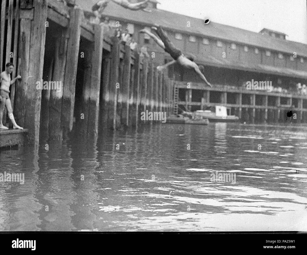 260 35157 SLNSW immersioni subacquee da un pontile nel porto Foto Stock