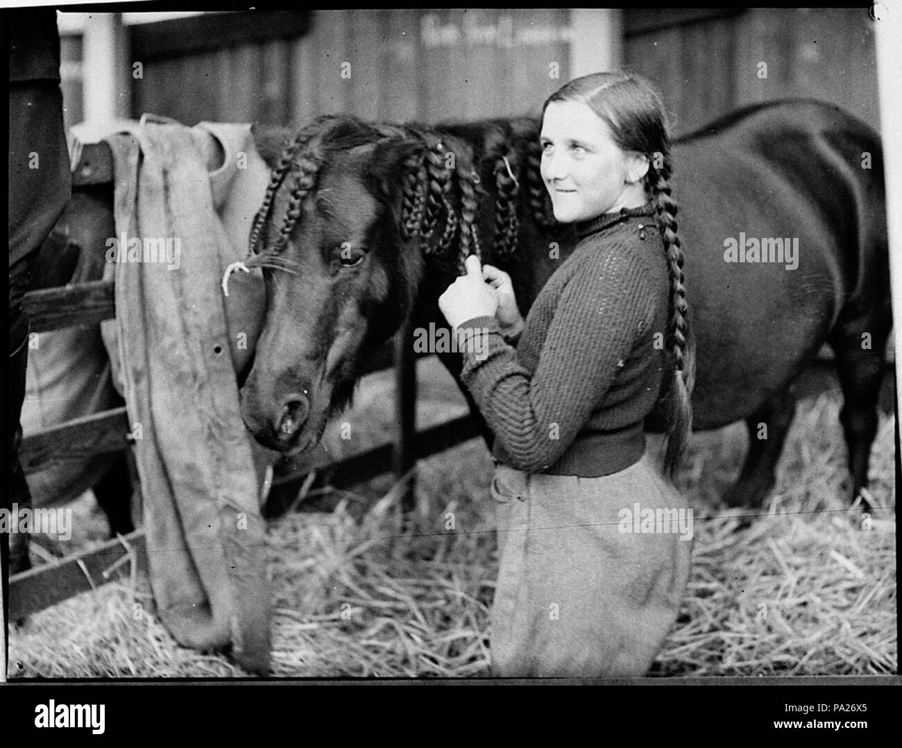 260 SLNSW 35301 Royal Easter Show 1936 Foto Stock