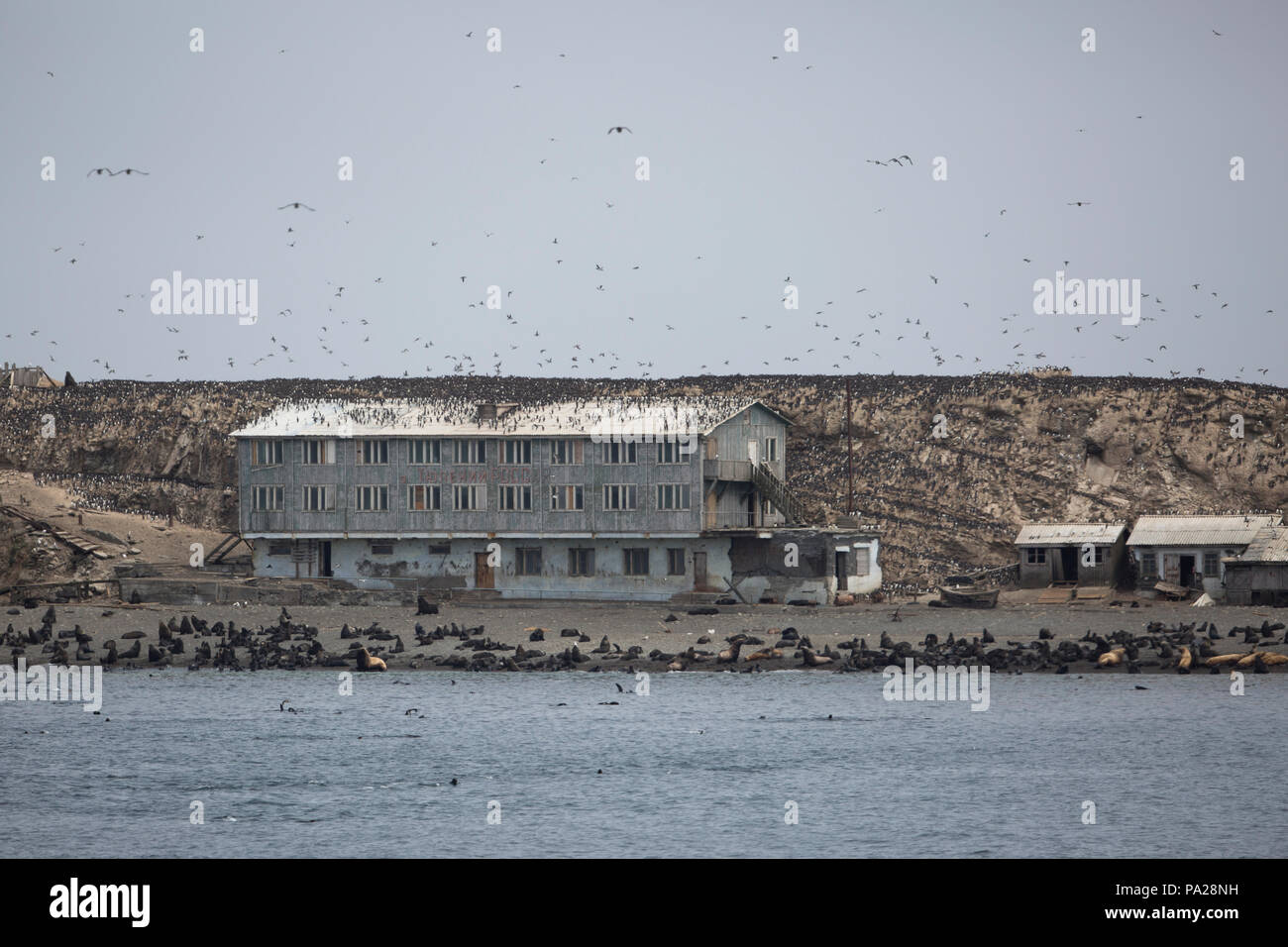 Edifici abbandonati superamento con uccelli e guarnizioni sulla isola Tyuleny (Mare di Okhotsk) Foto Stock