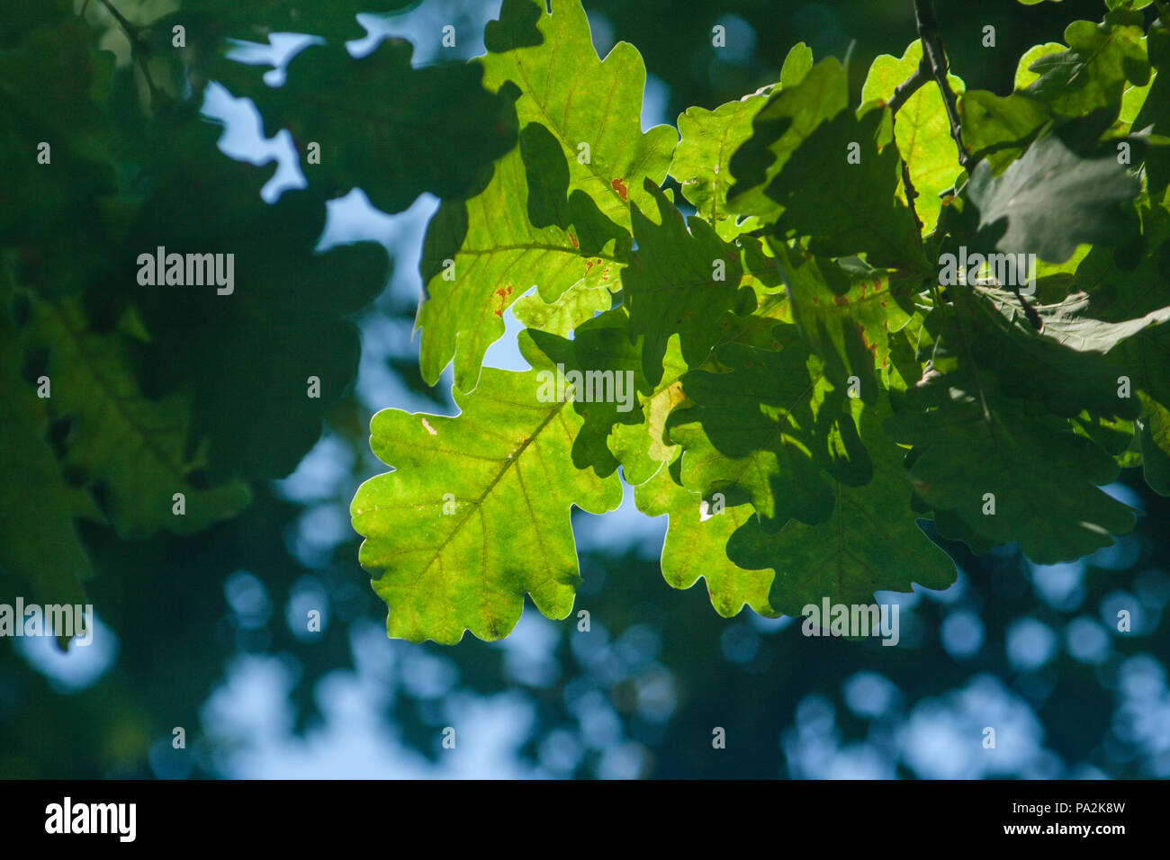 Più impianti di diversa configurazione e carta da parati Foto Stock