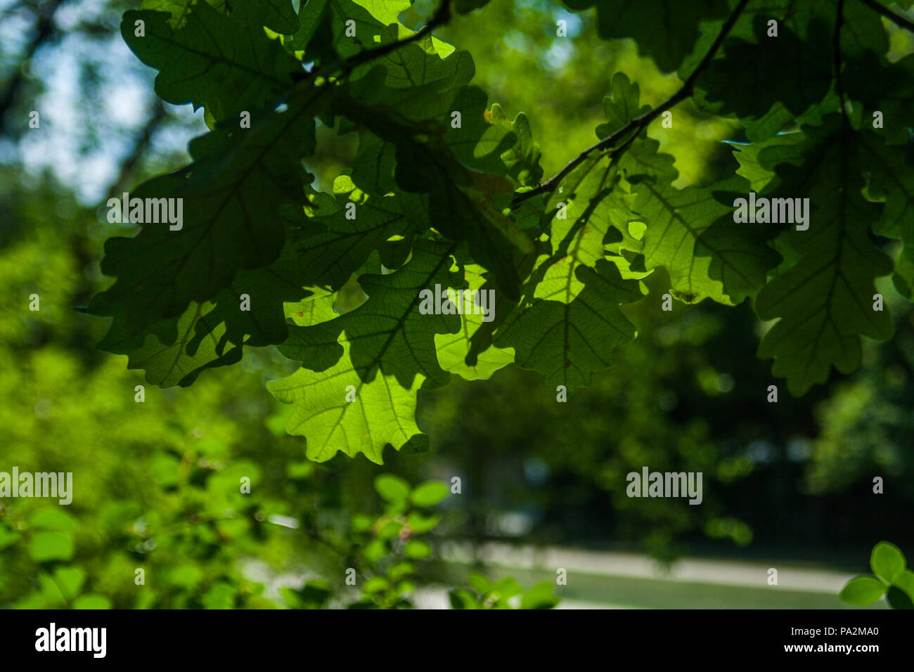 Più impianti di diversa configurazione e carta da parati Foto Stock